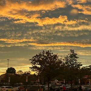 Meet your Posher, Adriana